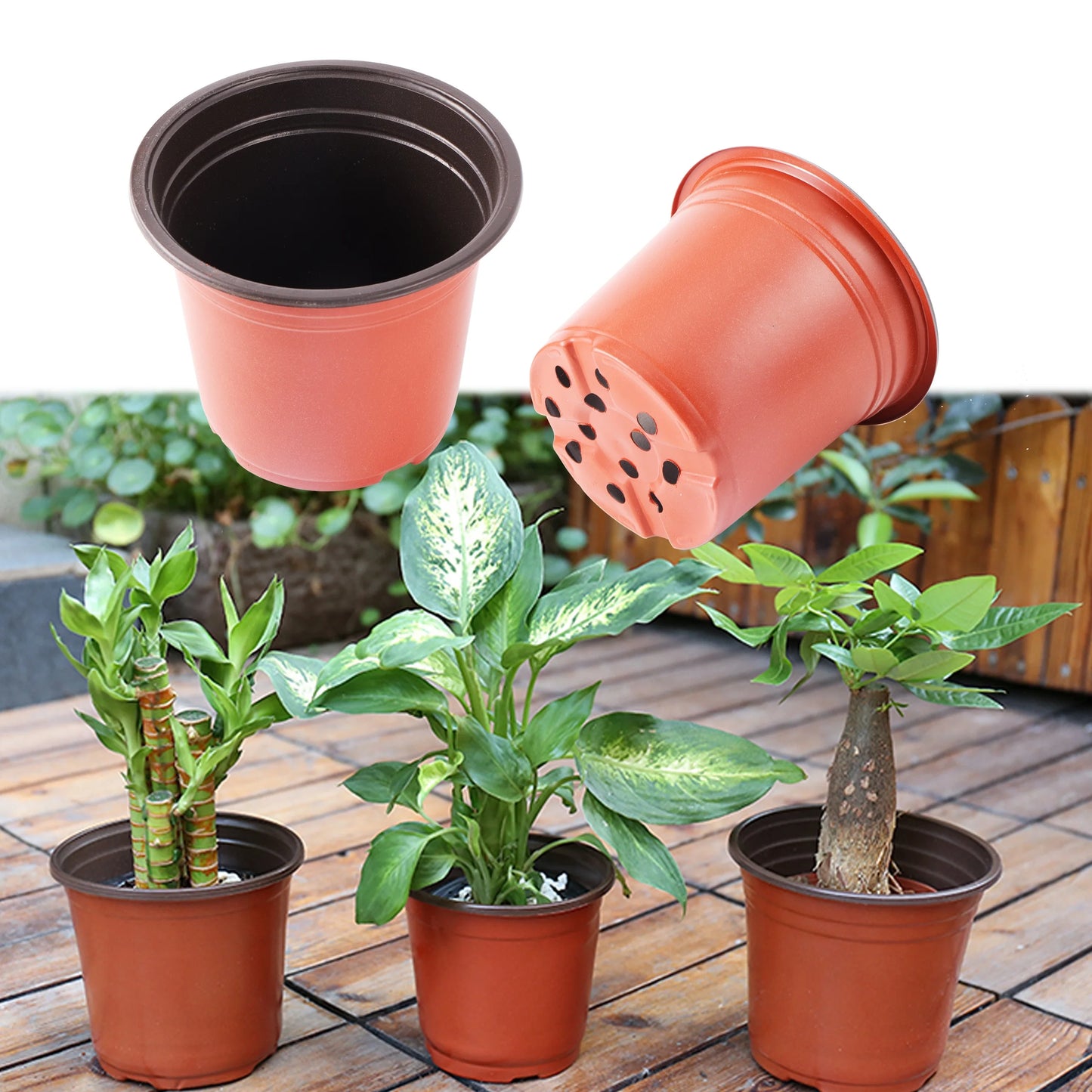 5 Pcs Plastic Grow Box Seedling Tray