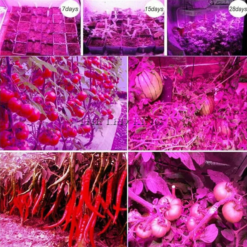 Phyto Lamp Full Spectrum LED Grow Light E27 Plant Lamp