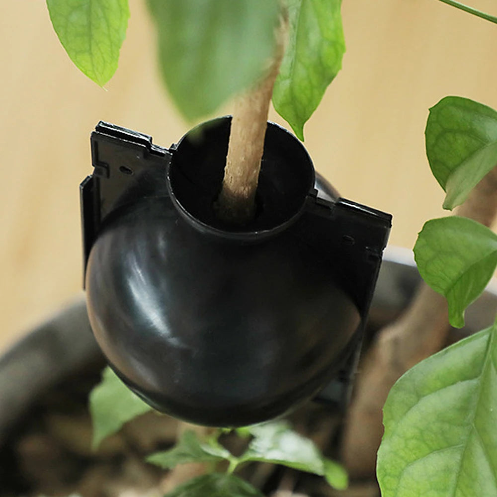 10Pcs Reusable Plant Root Growing Box