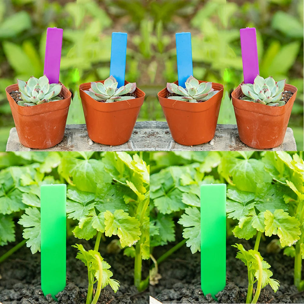 30/50/100 Pieces Gardening Plastic Label Reusable Multi-color