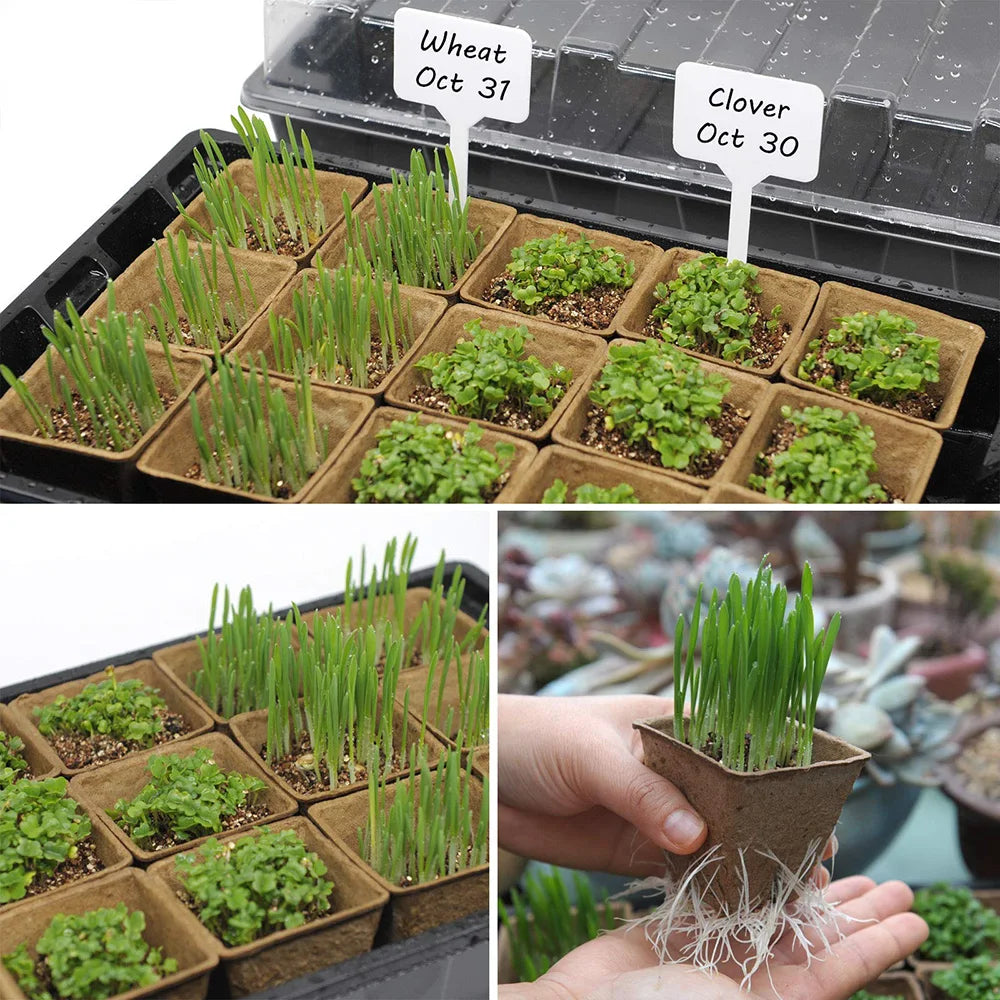 8cm Garden Seeds Starter Cups Biodegradable Peat Pots