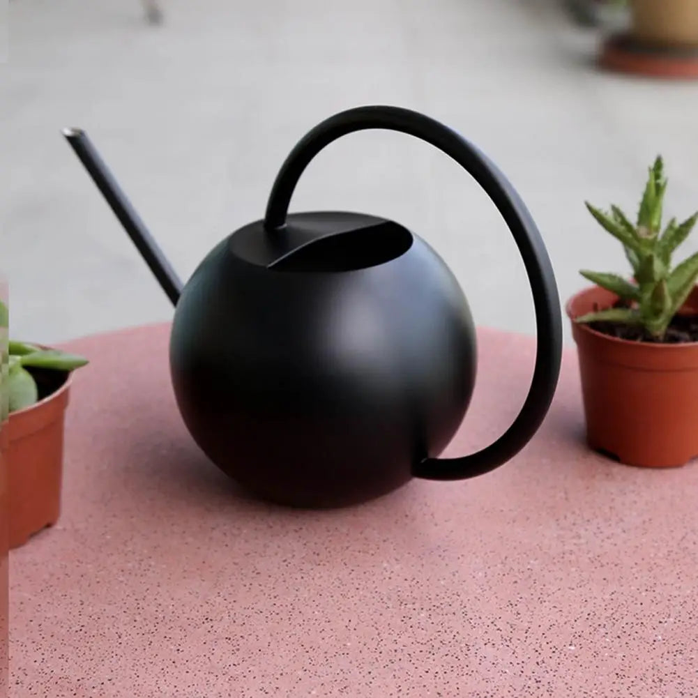 Watering Can Matte Black Color Stainless Steel Pot Long Spout