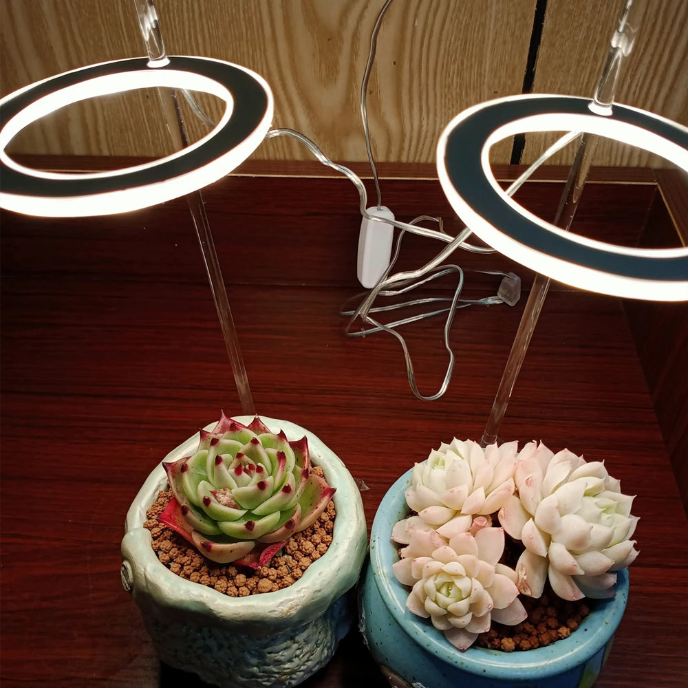 5V LED USB Angel Ring Plant Grow Light