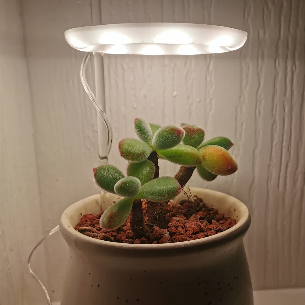 5V LED USB Angel Ring Plant Grow Light