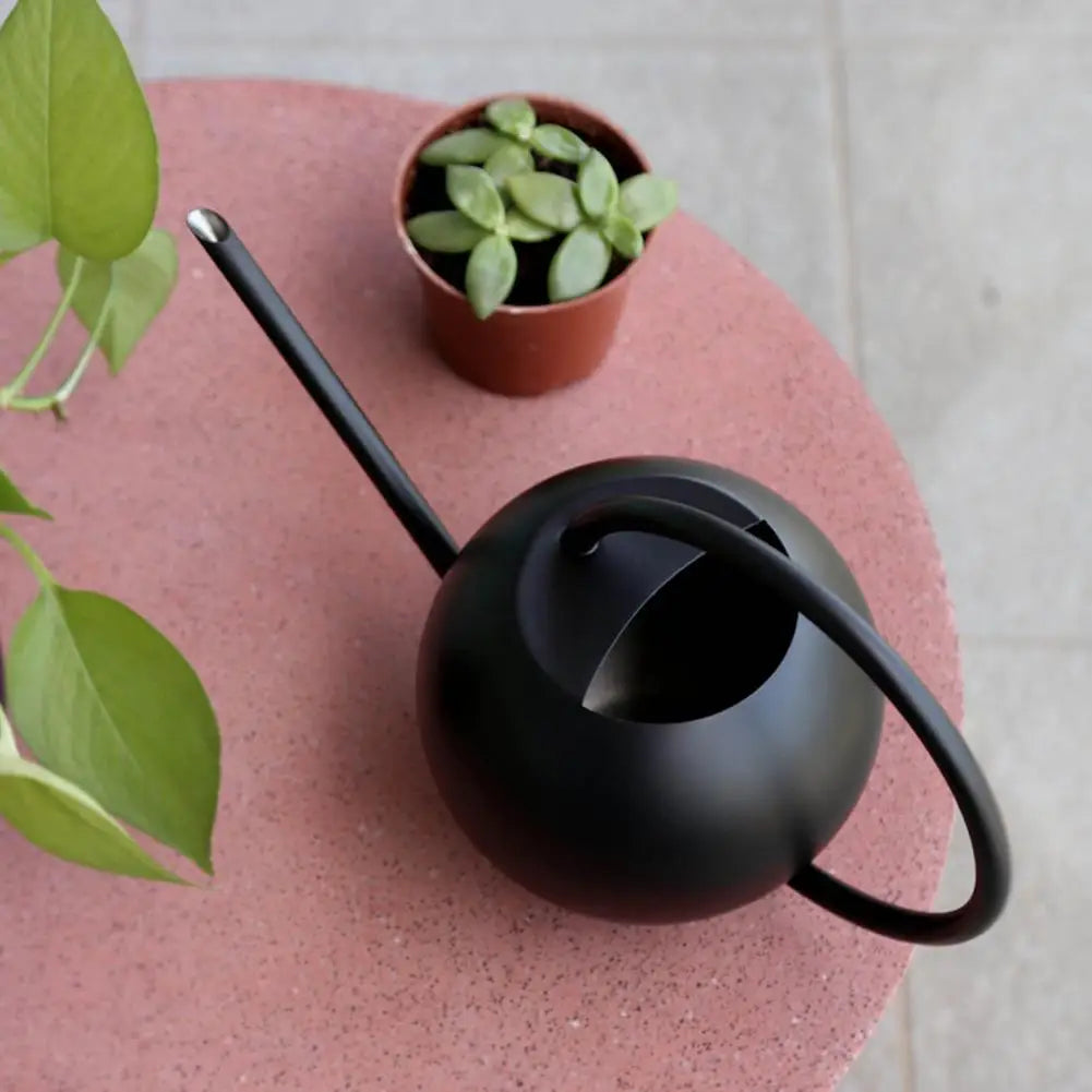 Watering Can Matte Black Color Stainless Steel Pot Long Spout