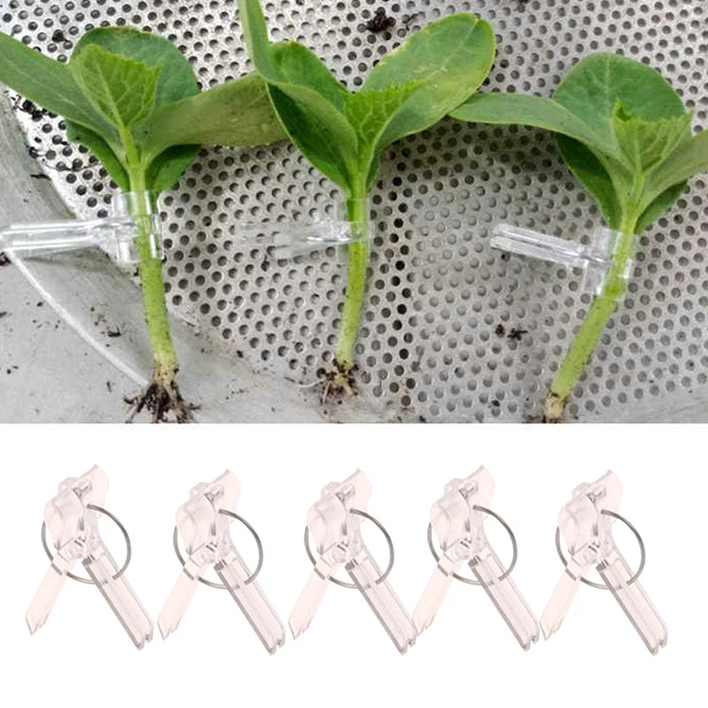 100Pcs 15x35MM Grafting Clips Vegetables Grafted Clamp