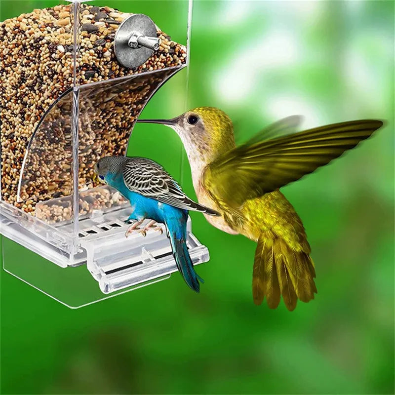 No Mess Bird Feeders Acrylic Seed