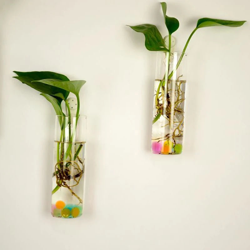 Creative Wall Hanging Glass Vase Hydroponic Plant Vase