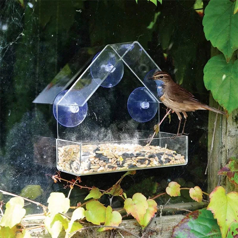 Bird Feeder House Shape Weather Proof Transparent