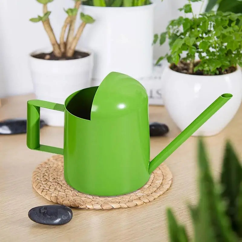 Stainless Steel Watering Can Long Spout