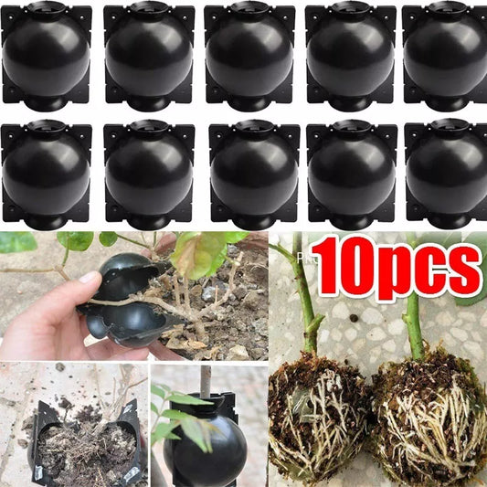 10Pcs Reusable Plant Root Growing Box