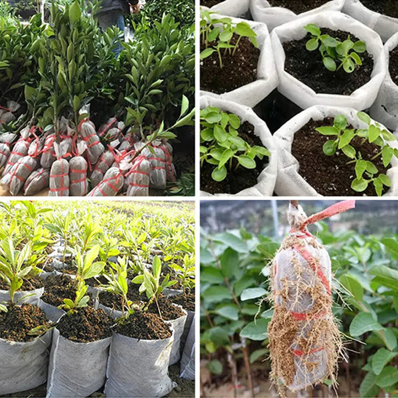 Biodegradable Bag Non-woven Planting Bags Fabric Nursery