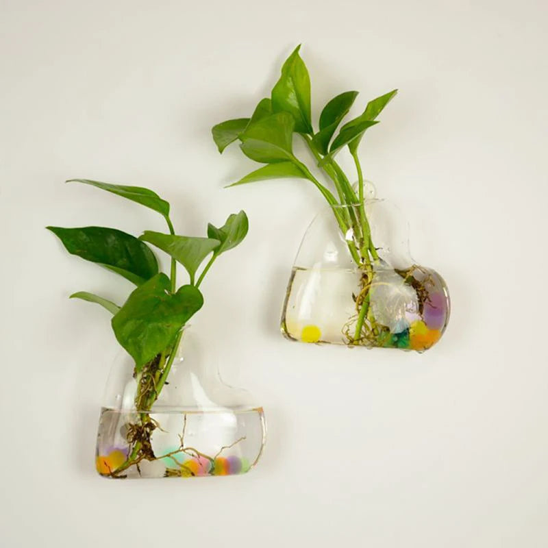 Creative Wall Hanging Glass Vase Hydroponic Plant Vase