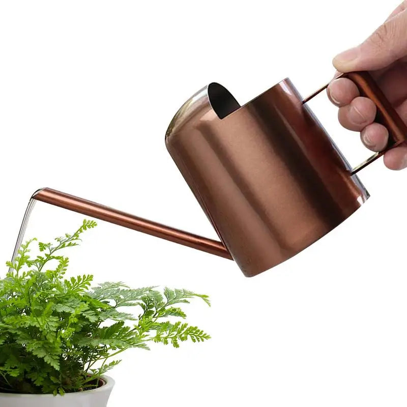 Stainless Steel Watering Can Long Spout