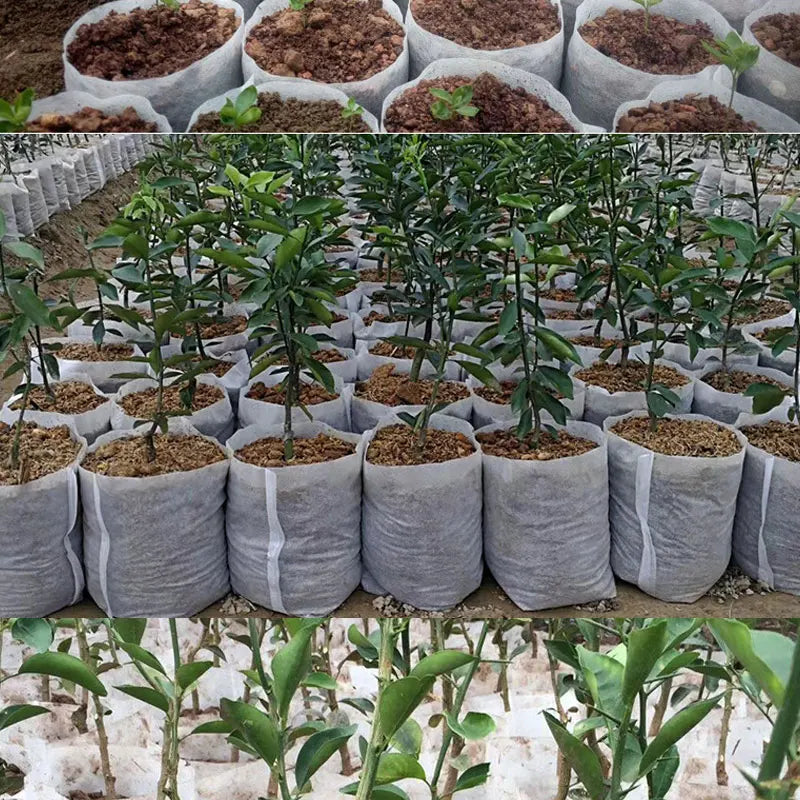 Biodegradable Bag Non-woven Planting Bags Fabric Nursery