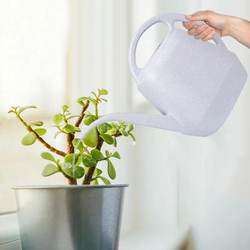 Watering Can With Handle Small Water Cans For Indoor