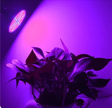Phyto Lamp Full Spectrum LED Grow Light E27 Plant Lamp
