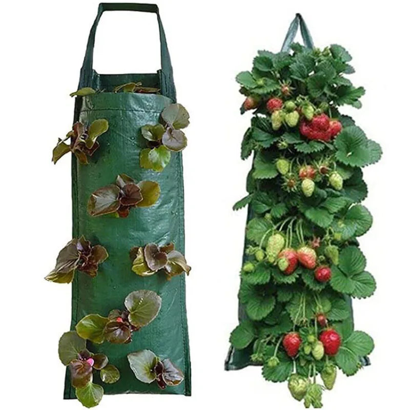 Fabric Strawberry Plant grow Pot wall hanging