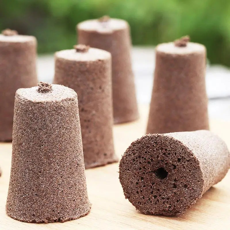 12Pcs Root Growth Sponges Plant Seed Starter Pods