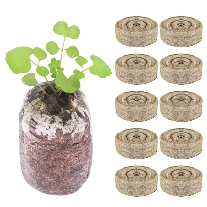 10 Count Peat Pellets Seed Starter Soil Plugs