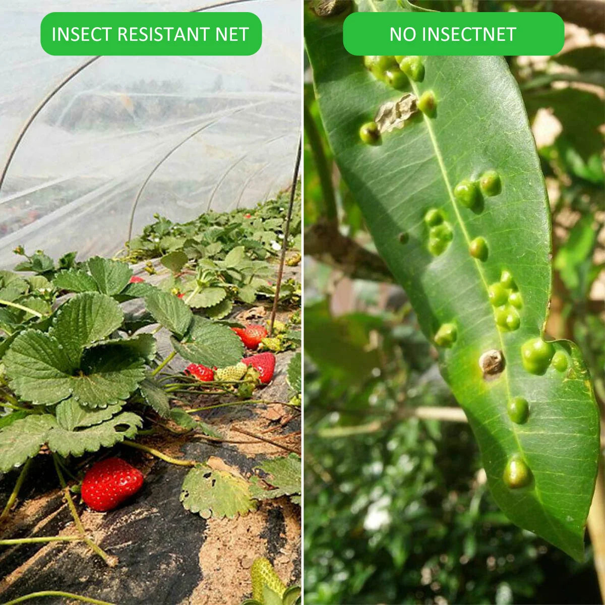Garden Insect Protection Net Plant Vegetables Fruit Care Cover