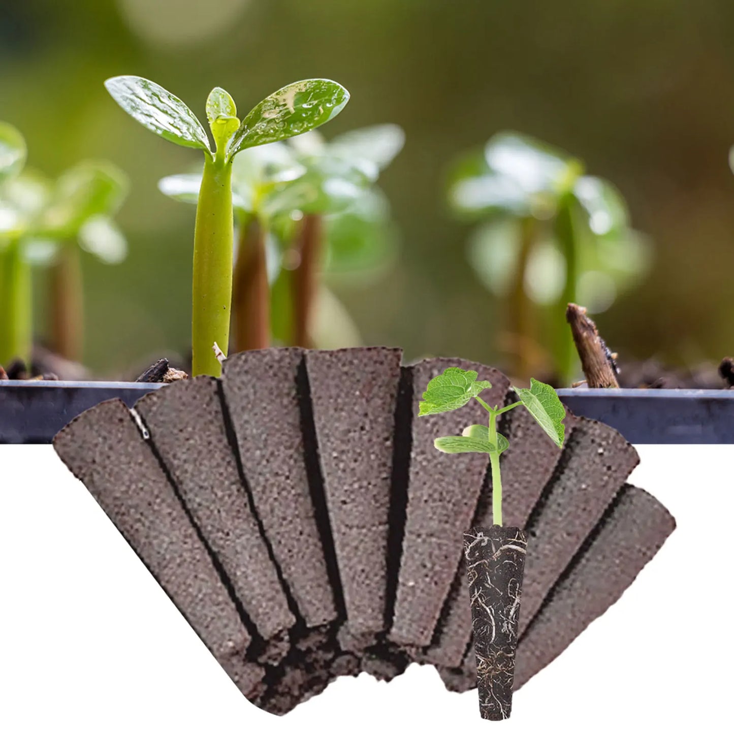 Grow Sponges Root Growth Seedling Starter Plugs