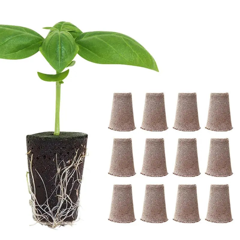 12Pcs Root Growth Sponges Plant Seed Starter Pods