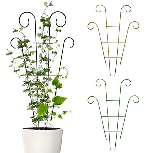Matal Plant Climbing Trellis Plant Support Stands