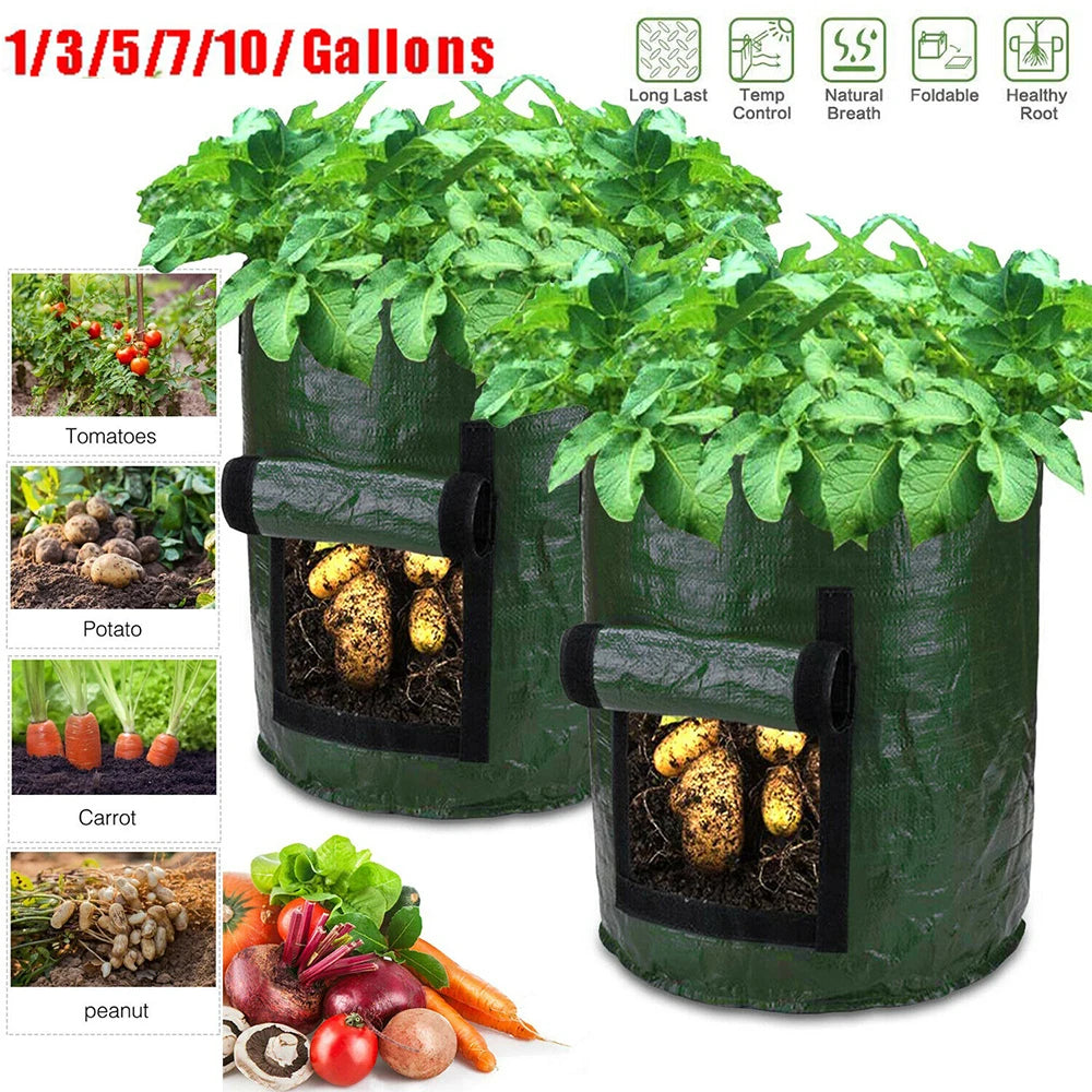 12 Gallon Potato Growth Bag Vegetable Onion Cultivation
