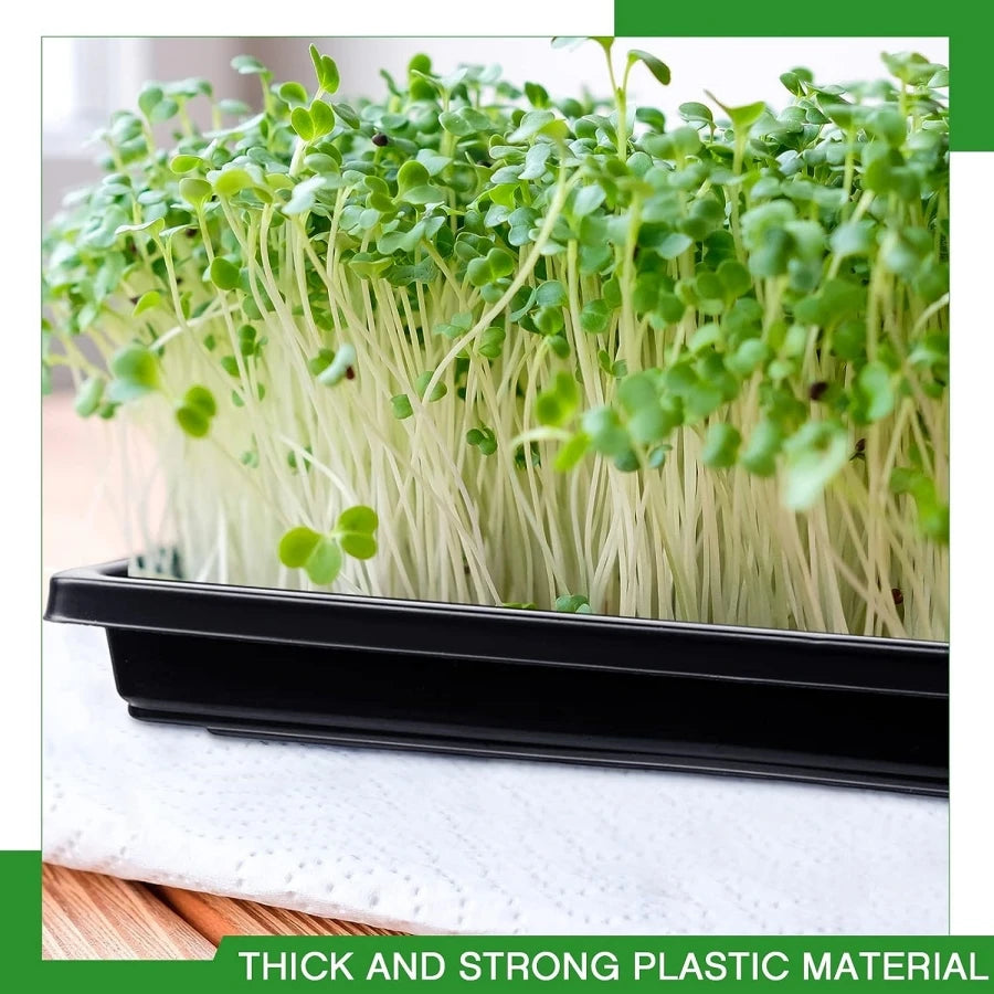 27x27cm Square Plastic Garden Seed Starter Grow Trays