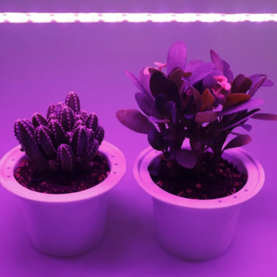DC 5V USB LED Grow Light Full Spectrum 1-5m Plant Light