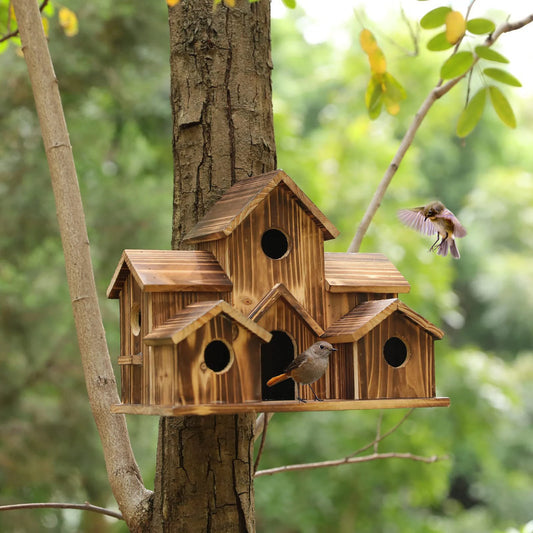 Wooden Bird House 6 Hole Handmade Natural Bird House