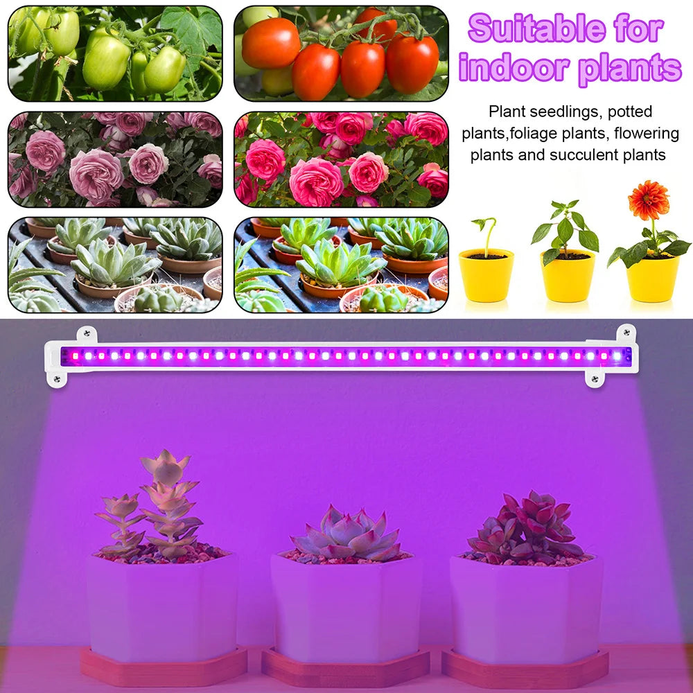 LED Grow Light Strips for Indoor Plants Red Blue Full Spectrum USB Timer Dimmable