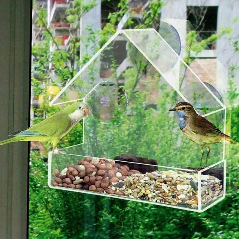 Bird Feeder House Shape Weather Proof Transparent