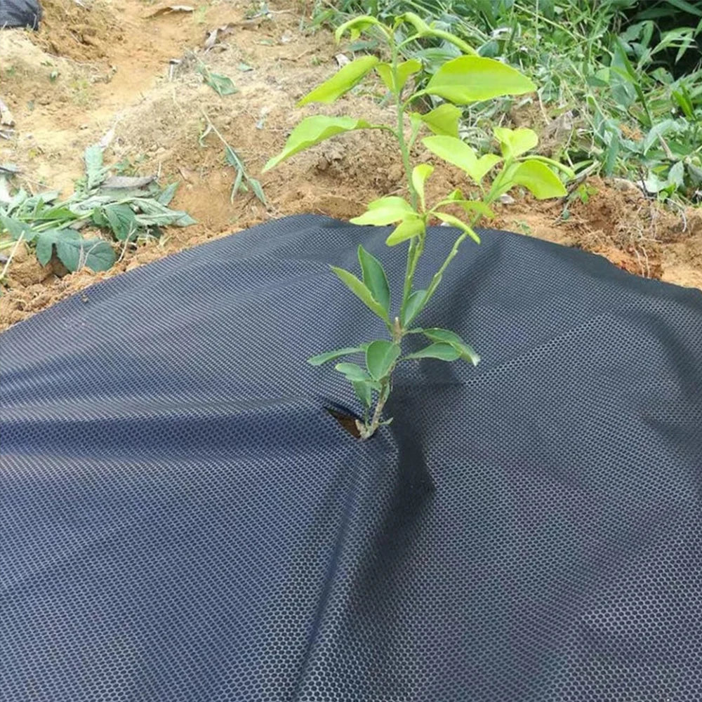 Tree Protection Weed Mats Ecological Control Cloth