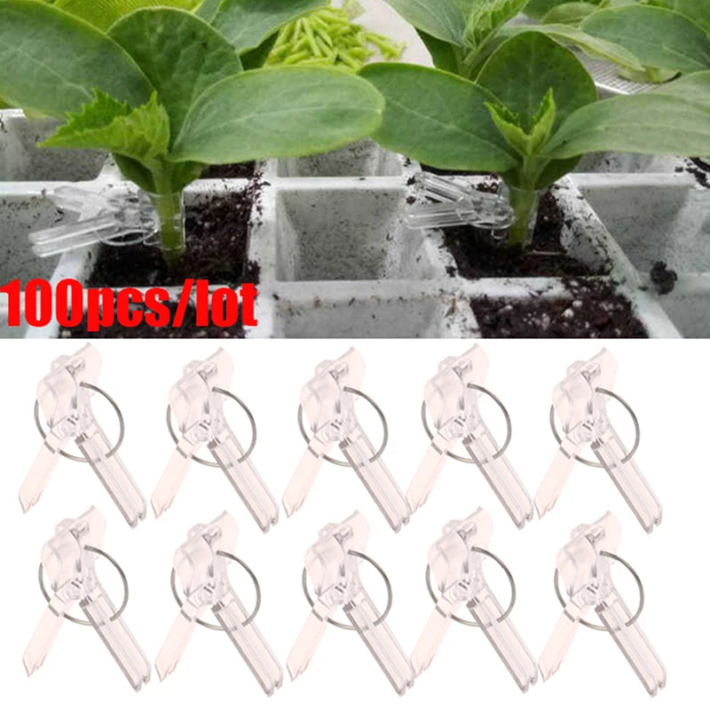 100Pcs 15x35MM Grafting Clips Vegetables Grafted Clamp