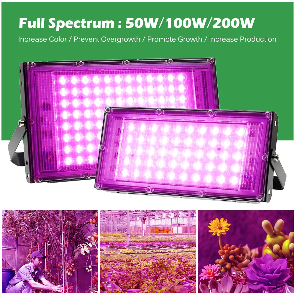 220V LED Grow Light Full Spectrum Waterproof Phyto lamp for Plants 50W/100W/200W