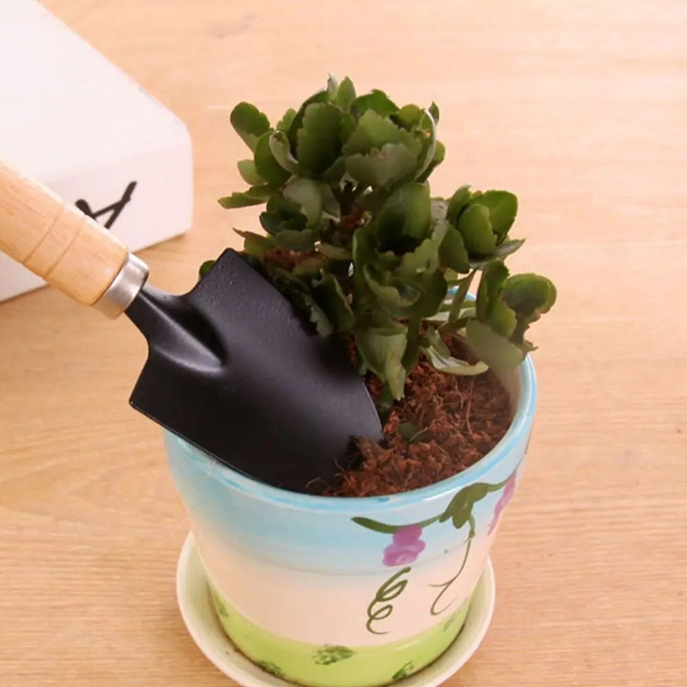 Pot Plant Bonsai Tool Handle Rake Potting Soil Scoop Mini Garden Shovel