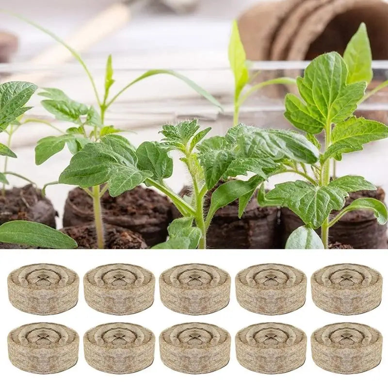 10 Count Peat Pellets Seed Starter Soil Plugs